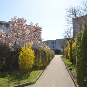 3-Raum-Wohnung mit Balkon im 2. Stock und fix zugeordnetem PKW Abstellplatz in ruhiger Lage - Photo 3