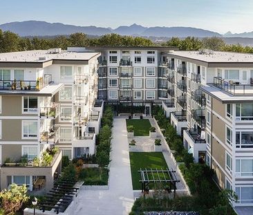 295 Francis Way | 295 Francis Way, New Westminster - Photo 1
