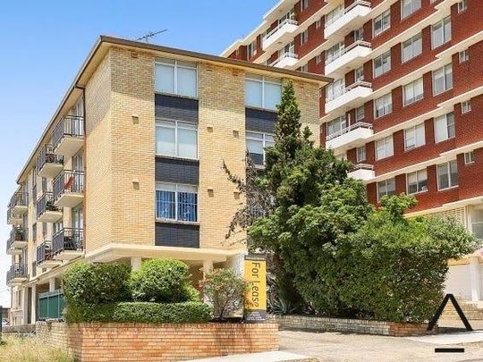 11/207 Birrell Street, Waverley NSW 2024 - Apartment For Rent | Domain - Photo 1