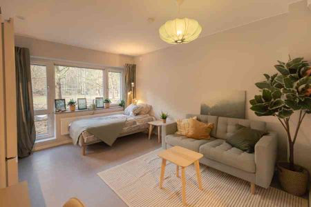 Flamman, Västanågatan 30A.311 - Photo 4