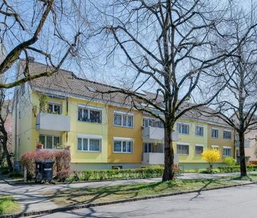 Quiet residential area in Riehen - Photo 6