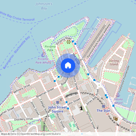 138 Bowman St, Pyrmont, Sydney, New South Wales 2009