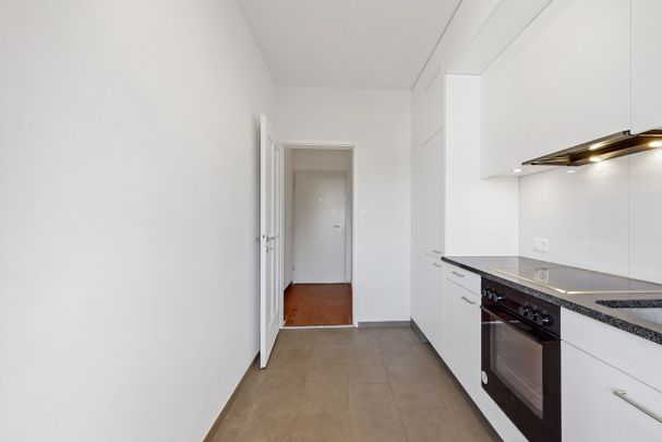 Un appartement spacieux à proximité de la gare Cornavin et des Nations - Photo 1