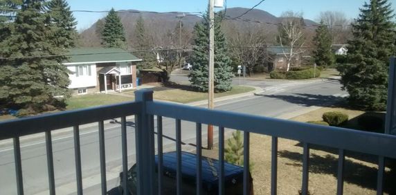 Beloeil grand 4 1/2 avec (2) stationnements déneigés ,entrée laveuse/sécheuse thermopompe, disponible pour le 1 Février 2026. - Photo 2