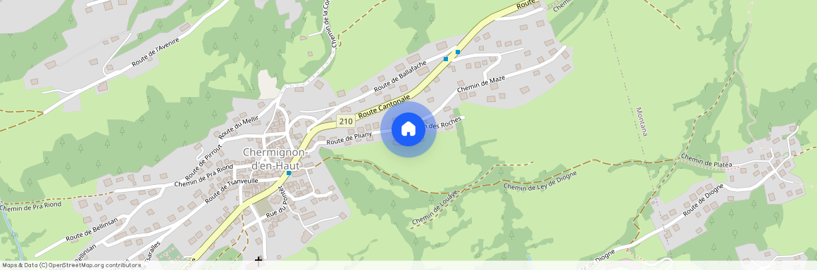 3971, Ollon VS, Route De Pliany, 18