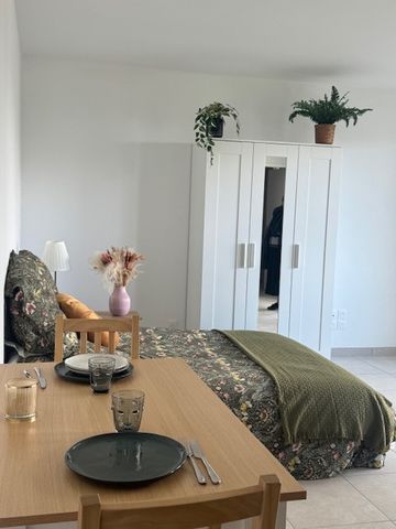 Location Appartement 1 pièce Meublé 30m² DIJON 21000 - Photo 4