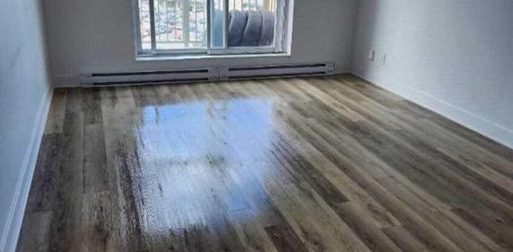 1 CH - 1 SDB - Gatineau - $1,599 /mo - Photo 2