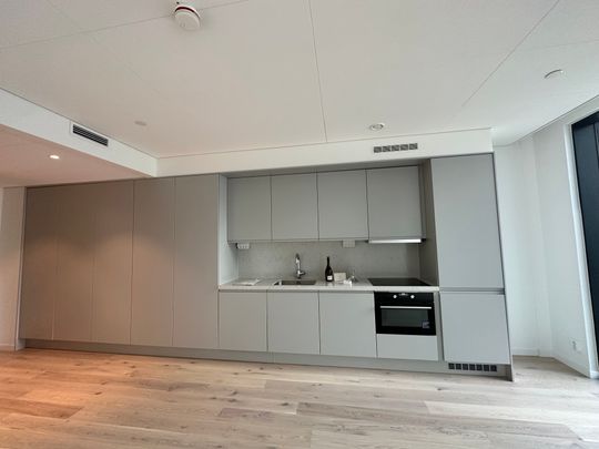 Lodjursstråket, Göteborg, Goteborg - Foto 1