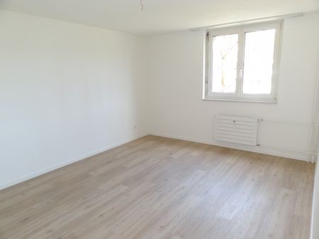 Lichtdurchflutete Wohnung – Wohnen in zentraler und grüner Umgebung - Foto 2