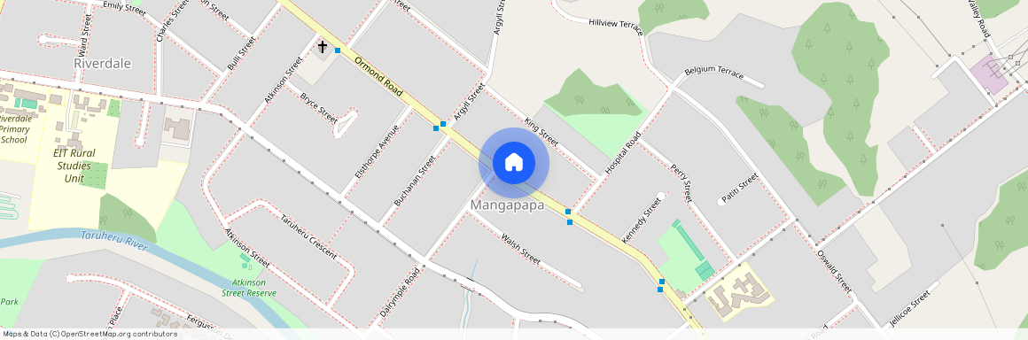 293 Ormond Road, Mangapapa, Gisborne