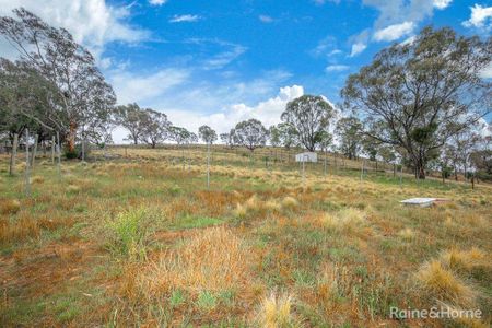 Country Living in Emu Bottom- 3 Acres - Photo 4