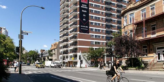 Le Plateau - 3605 St-Urbain - 1 Bedroom - 3605 Rue Saint-Urbain, Montréal - Photo 3