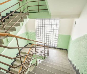 Pronájem krásného bytu 2+kk s terasou v srdci Žižkova! - Photo 6