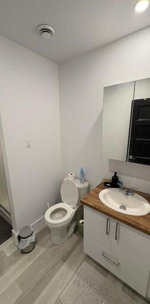 Reprise de bail - Spacieux 4 ½ lumineux à louer (chat accepté) - Photo 1