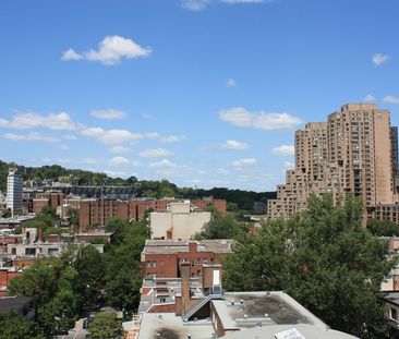 1 Bedroom - 3455 Durocher, Montréal - Photo 3