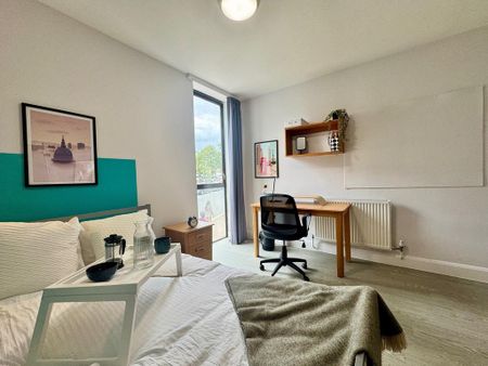 House share to rent - Photo 4