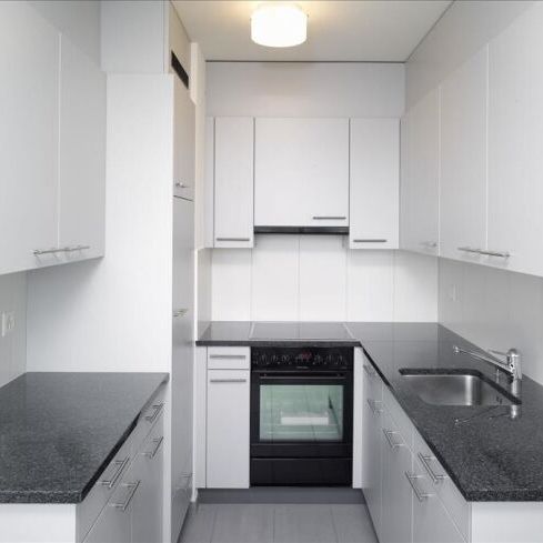 Living near the Eglisee swimming pool and the Badischer Bahnhof - Photo 1