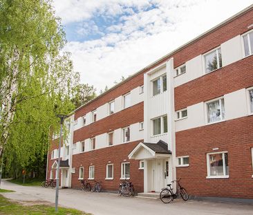 Ankarskatavägen 91 B, 94134, Piteå - Foto 2