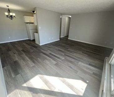 Palisades Manor - Photo 3