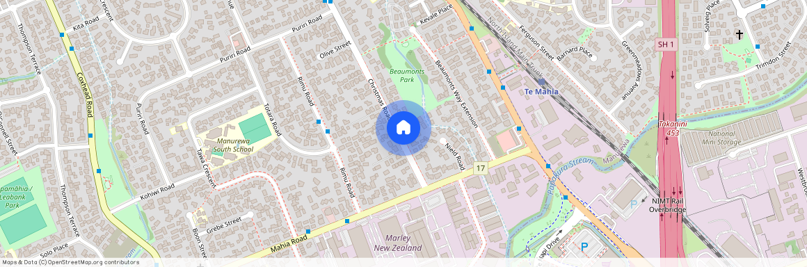 13 Christmas Road, Manurewa, Manukau City