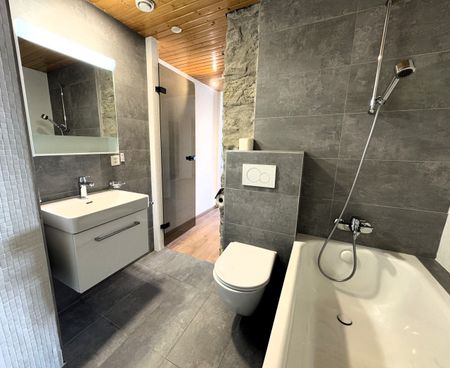 4.0 renovated rooms of 88 m2 with lake view - Photo 5