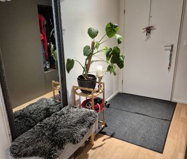 3 Zimmer, 74 m² - Photo 4