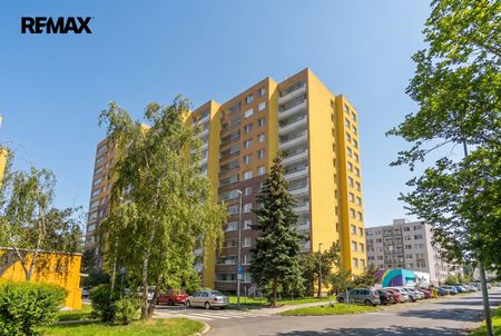 Pronájem bytu 2+kk v družstevním vlastnictví 46 m², Praha 3 - Žižkov - Photo 3