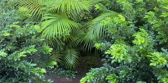 Turramurra - Photo 2