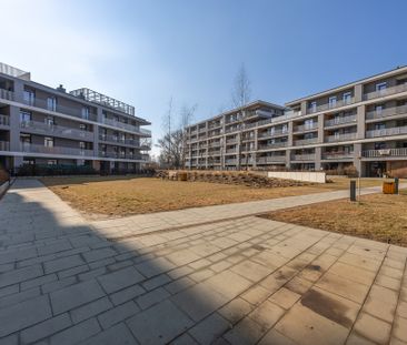 2 pokoje z balkonem, 39m2, Praga-Południe - Photo 1