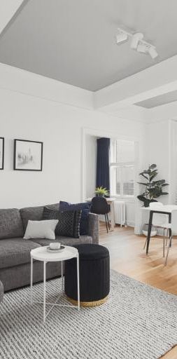 3 ½ entièrement meublé à louer Montcalm / Saint-Sacrement juillet 2026 - Photo 1