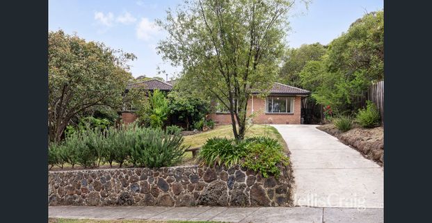 Light Filled Living in a Prime Location - Photo 1