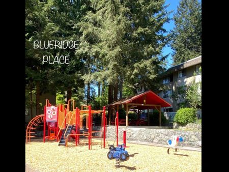 989 Lytton Street - Photo 2