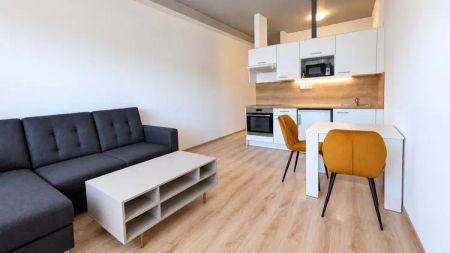 Pronájem bytu 1+kk, 34 m - Fotografie 3