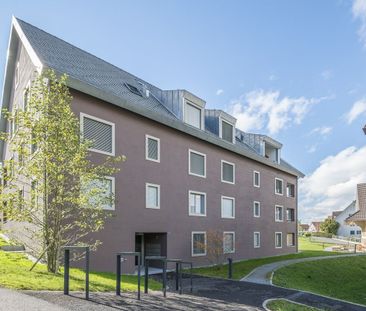 Your new home? Attractive and modern penthouse apartment in Bonstetten - Foto 6