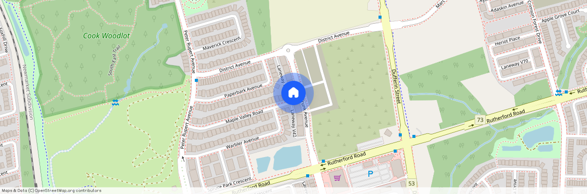 70 Grand Trunk Avenue Unit# Lower, Vaughan