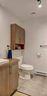 1 CH - 1 SDB - Longueuil - $1,495 /mo - Photo 1