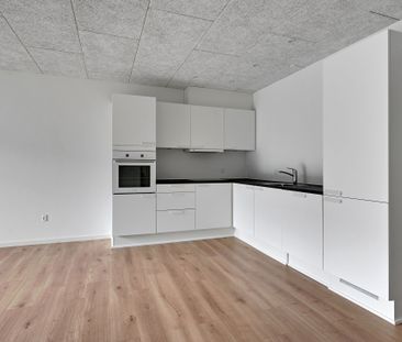 Velkommen til Holing Engpark! - Foto 5