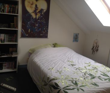 Louer duplex 1 pièce de 23 m² à Rennes (35200) - Photo 3