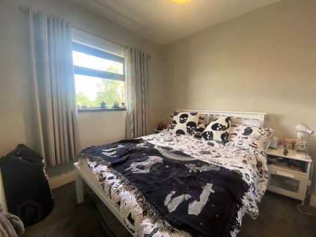 3 Stockmans Lane, Belfast, BT9 7JA - Photo 5