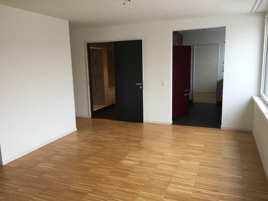 3.5 Zimmer Wohnung - Photo 1