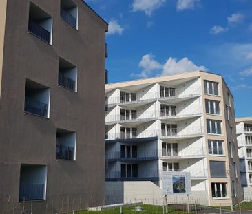 Bright 2.5 room of 71 m2 - Photo 3