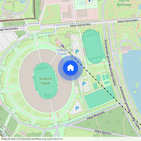 ul. Katowicka, Centrum, Chorzów, śląskie