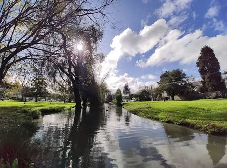 Prime Peaceful Remuera Location - Photo 5