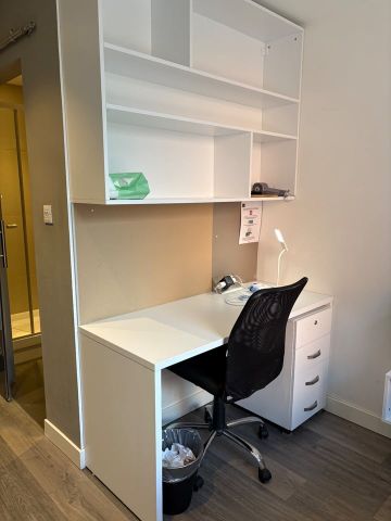 Studio Flat, Miura, NG3 - Photo 3