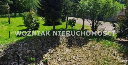 Czarny Bór Mieszkanie na wynajem - Photo 4