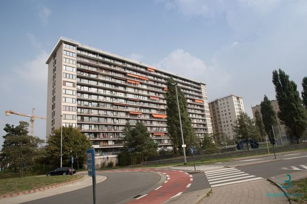 Ruim 3-slaapkamer appartement met uniek zicht op Gent - Foto 1