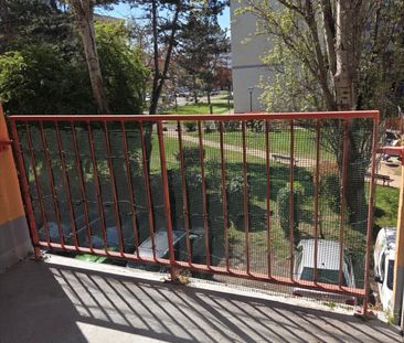 Location Appartement 1 pièce 24m² - Photo 5