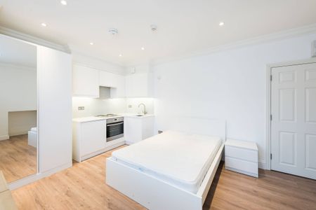 Studio 1, Westminster, SW1P - Photo 4