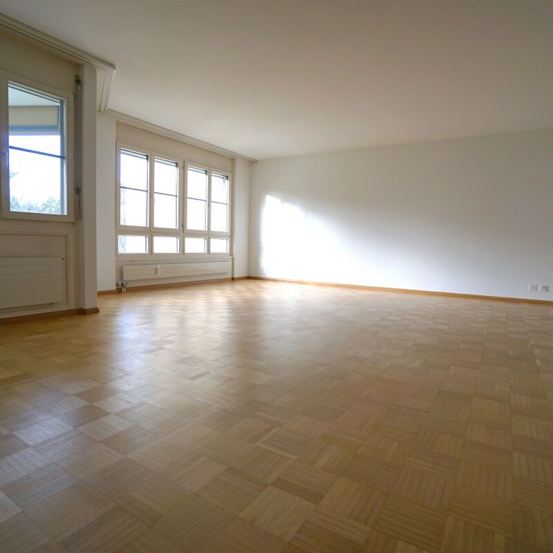 Schöne 3.5 Zimmerwohnung mit grossem Balkon - Foto 1