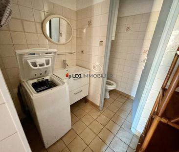 Location Appartement 1 pièce 25m² AMELIE LES BAINS PALALDA 66110 - Photo 5
